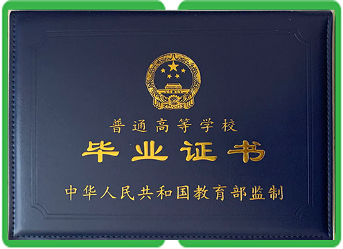 中专文凭样本